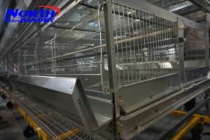 Buy cheap Preloved | chicken cages for sale livestock, poultry for sale product