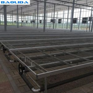Buy cheap Seedbed Ebb Plastic Greenhouse Tables Stable Structure ISO9001 Certification from wholesalers