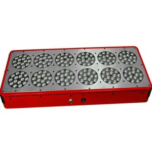 Buy cheap cidly high power and lumen 3w chip led grow light 12, uv lamp for plants, horticulture led from wholesalers
