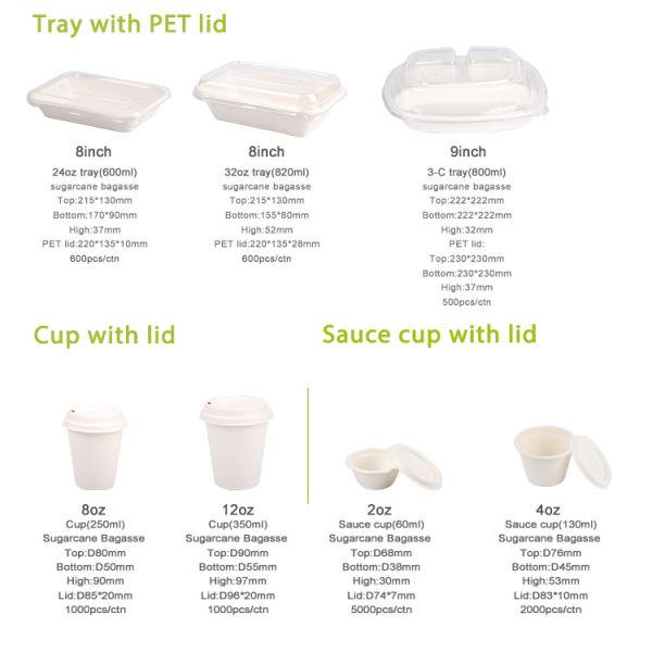 Disposable Food Grade Takeout Drinkware Sugarcane Bagasse Pulp Cup With Lid For Drink Coffee