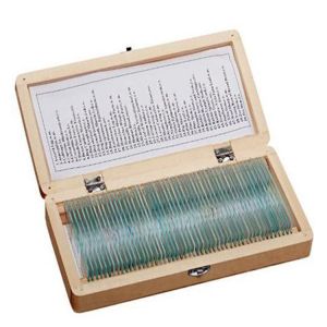 Buy cheap Biology Lab 50pcs Animal Tissue OEM Pre Prepared Microscope Slides from wholesalers