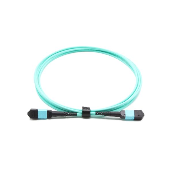 Buy cheap MPO-MPO OM3 Fiber Optic Patch Cable 12-Core Multimode 50/125 Low Loss LSZH Jacket from wholesalers