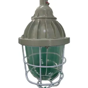 Buy cheap Certified IP65 Explosion Proof Ceiling / Pendant / Wall Mount Light from wholesalers