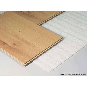 Beach Mat and Expanded EPE Foam making plant