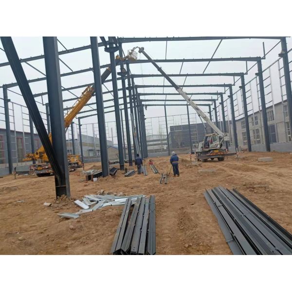LANGE Soundproof Prefabricated Steel Frame Buildings Customized Prefab Farm