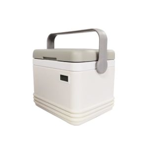 Durable Medical Cooler Box with 2-8°C Temperature Range and One Set Ice Pack