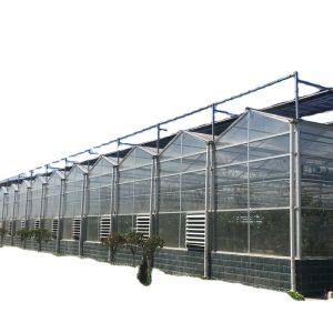Buy cheap Multi-span Glass Greenhouse Agricultural Instruction with Super Strong product