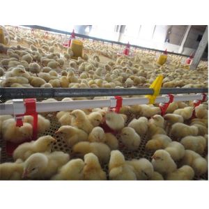 Buy cheap Broiler Automatic Poultry Drinker Nipple Cup Drinker System from wholesalers