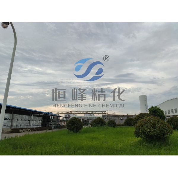 Hengfeng Sewage Treatment Chemical Anionic Polyacrylamide Commonly Used Apam