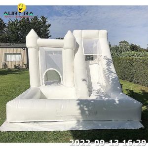 Wet Combo New Inflatable Bounce House With Blower Mini Bounce House With Ball