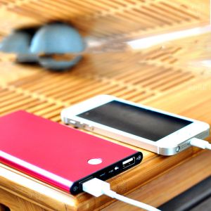 dual usb slim power bank with aluminium case