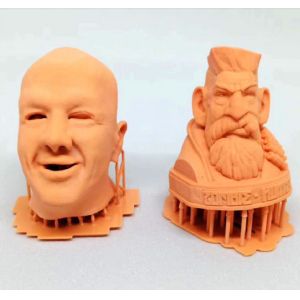 Red Wax Commercial 3d Printing Services Jewelry Art Plastic Rapid Prototyping