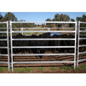 China Oval Tube Cow Fence Panel on sale