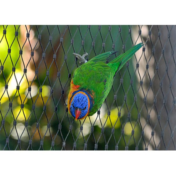 Quality 1.5mm 7x7 Knotted Black Oxide Wire Rope Mesh for sale