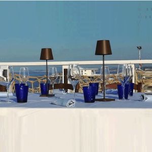 Buy cheap Poldina PRO Rechargeable LED Table Lamp bedroom (WH-MTB-159) from wholesalers