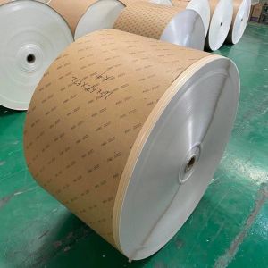 Buy cheap PE Coating 260GSM Jumbo Paper Roll 600mm-1300mm Width from wholesalers