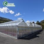 Buy cheap Transparent Beach House Tent Greenhouse with Hot Galvanizing Aluminum Steel Structure from wholesalers