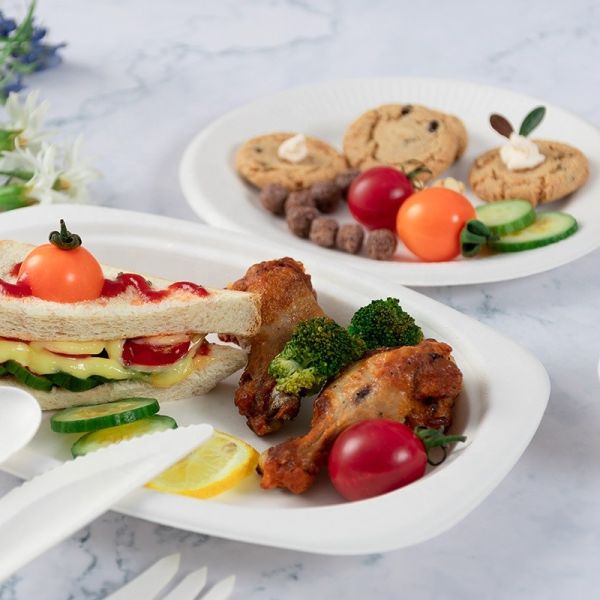 Quality Green 100% Biodegradable Compostable Party Tableware Eco Friendly Disposable Plates for sale