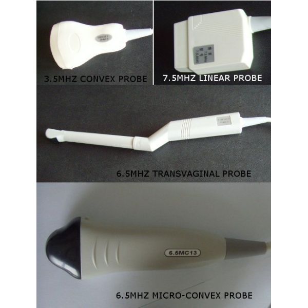 Portable Pregnancy Ultrasound Scanner with Abdominal Convex Transvaginal