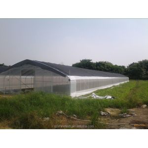 Buy cheap Tomato Hydroponic Agricultural Greenhouse For Enhanced Yield In Single Span Design from wholesalers