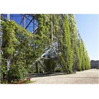 Buy cheap Ferrule Stainless Steel Cable Trellis 1.2mm Rope Diameter For Plant Climbing product