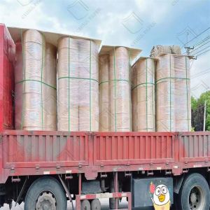 Virgin Pulp NCR Paper Jumbo Roll For Receipt And Invoice Printing