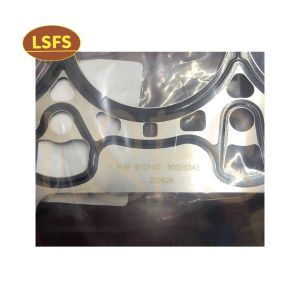 Buy cheap Maxus G10 G20 D90 T60 2.0T Cylinder Head Gasket OE 30026343 for 2018-2019 Year Models from wholesalers