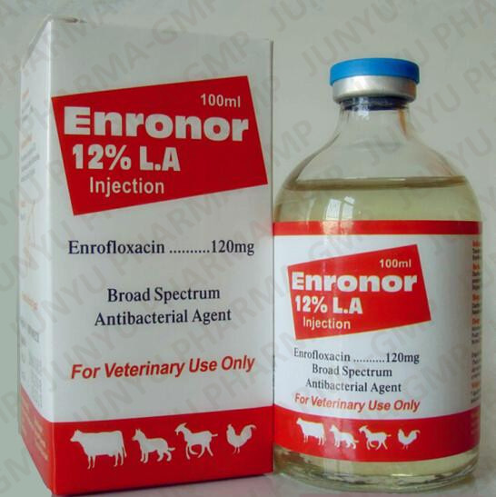 Enrofloxacin Injection for Calves, cattle, sheep and goats and Swine