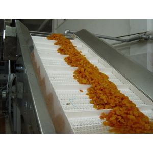 Conveyor for Mining Use in The Assembly