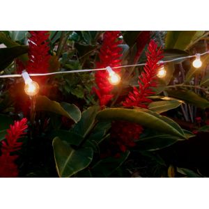 Buy cheap 10 Socket White Globe String Light w 12 Spacing Between Sockets from wholesalers