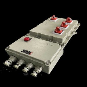 Wall Mounted Box Panel Explosion Proof with AC220V/380V Voltage