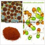 Buy cheap algal carotenoid extract,beta carotene dunaliella salina,d salina algae,d salina extract,dunaliella alge from wholesalers