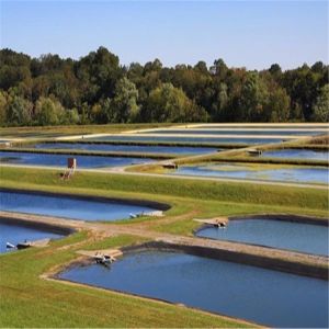 Buy cheap Outdoor HDPE Geomembrane Plastic Pond Liner for UV Protection and Puncture Resistance from wholesalers