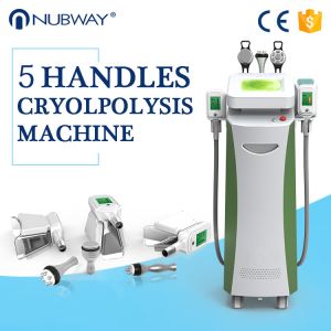 Buy cheap Body Slimming Shaping Cryolipolysis Body Slimming Machine Beautician Use from wholesalers