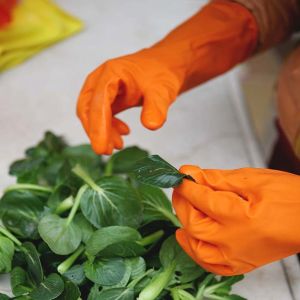 Buy cheap Flexible Cotton Flocklined 35g Kitchen Rubber Gloves product