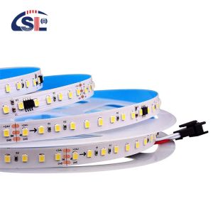 Buy cheap 12v24v 8mm 120leds 4000K Natural Electroplate SMD2835 led strip light with Dimmer from wholesalers