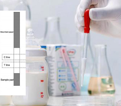 Buy cheap 2-8 ℃ Raw Milk Quinolone Antibiotic Test Strips Of Detection Easy Use from wholesalers