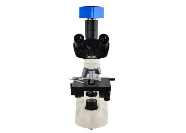 Buy cheap C303 Entry Level Clinical Laboratory Microscopes WF10X18 Eyepiece For Hospital from wholesalers