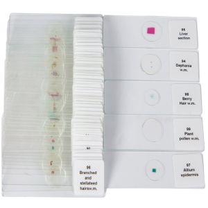Human Histology Tissue Teaching 100piece Prepared Microscope Slides Sets In