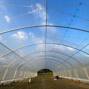 Buy cheap 6x15m Multipurpose Tunnel Greenhouse With Superior Light Transmission from wholesalers