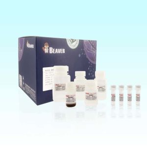 Buy cheap BeaverBeads Blood RNA Extraction Kit With High Compatibility from wholesalers