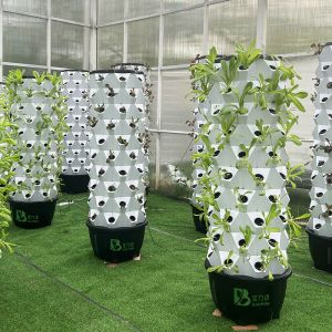 Buy cheap Automatic Hydroponic Growing Kit With Visible Line And Removable Basket from wholesalers