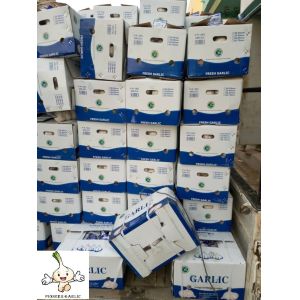Buy cheap Garlic to Senegal with 10kg carton box.Normal white garlic export. from wholesalers