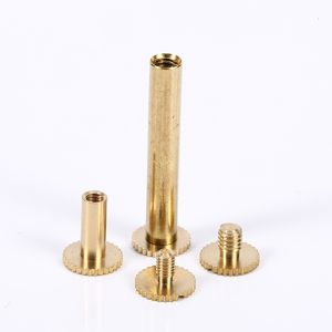 ISO9001 2015 Mini Chicago Screw M3 M4 M5 M6 M8 Flat Round Slotted Blind Head