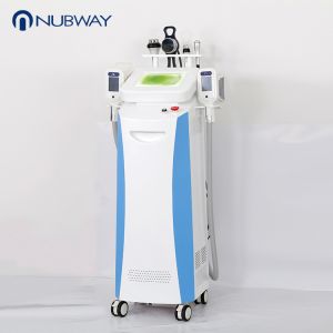 Buy cheap cryotherapy device cryolipolysis freezing fat criolipolisis slimming machine in Spa from wholesalers