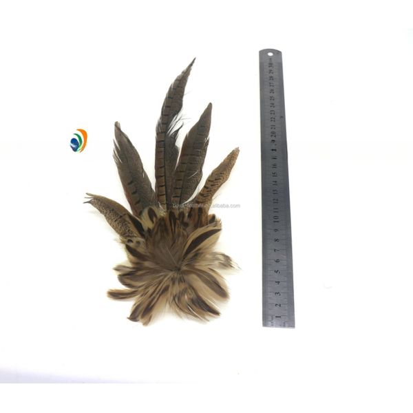 Suit Decoration Goose Hackle Feather Brooch With Wire Accessory 10x30Cm