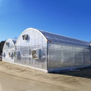 Buy cheap Multi Span Vegetable Animal Flower Growing Agriculture Polycarbonate Sheet Greenhouse from wholesalers