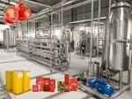 10T/H SUS 304 Tomato Paste Processing Line Energy Saving