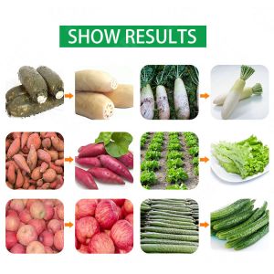 Customized air bubble washing wash machine vegetable washer machine