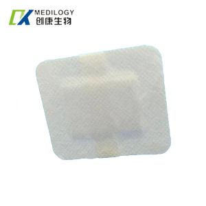 Buy cheap Non Woven PU Film Dressing Release Paper Sterile Adhesive Dressing from wholesalers